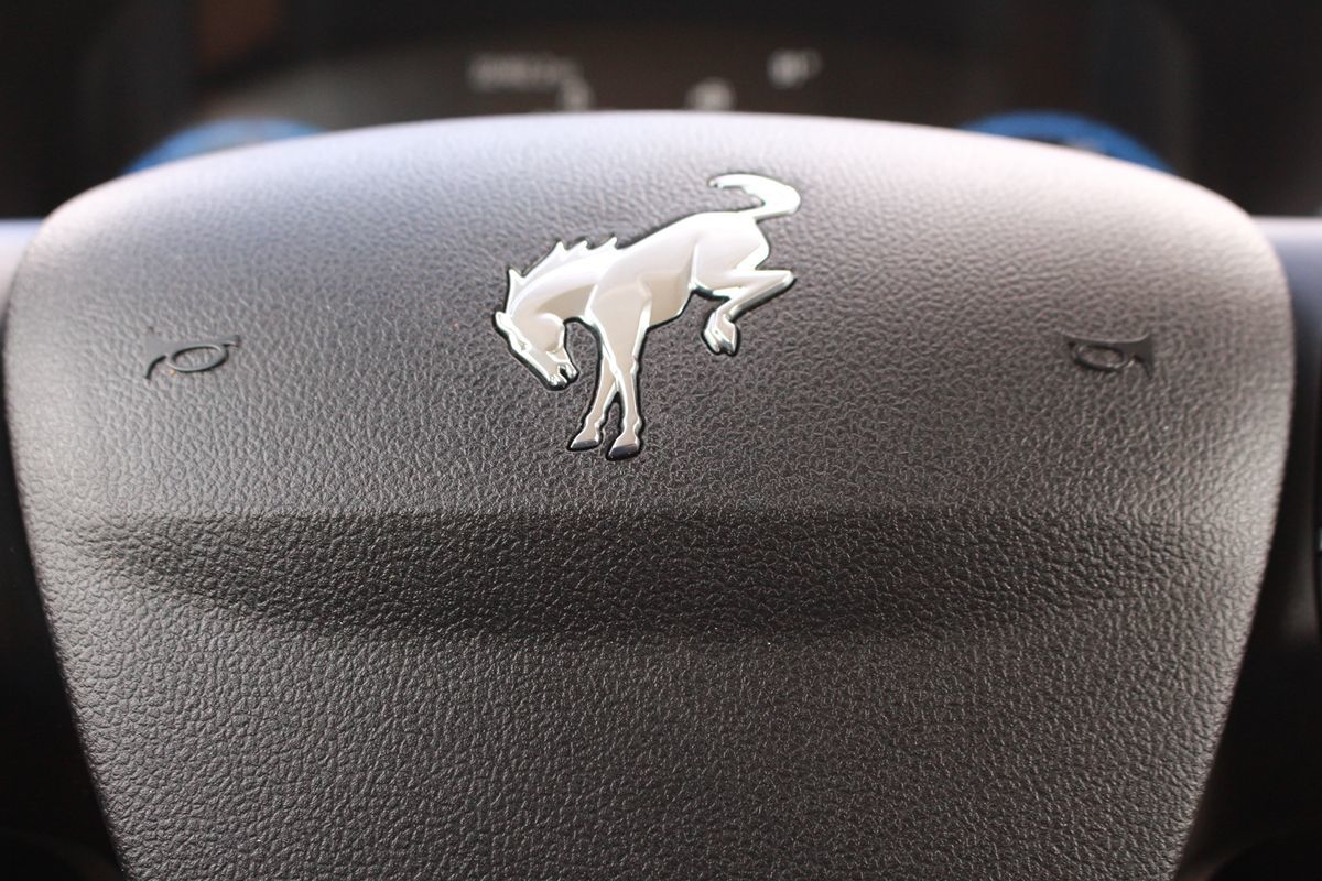 Photo 21 of 2023 Ford Bronco Sport Big for sale in Cypress, TX