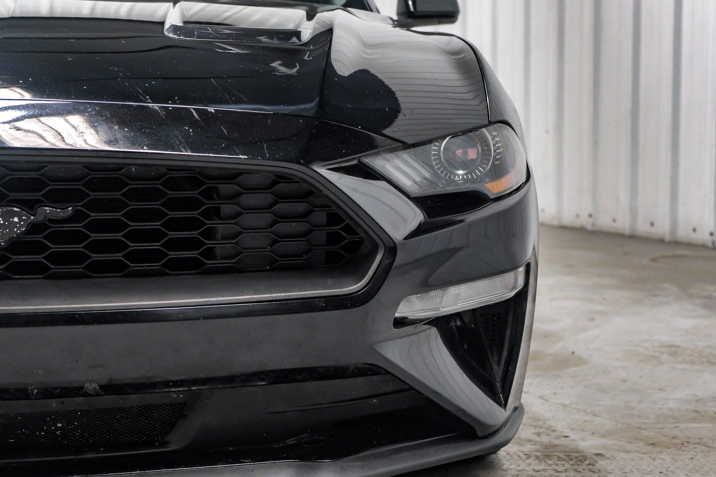 Photo 43 of 2019 Ford Mustang I4 for sale in Katy, TX