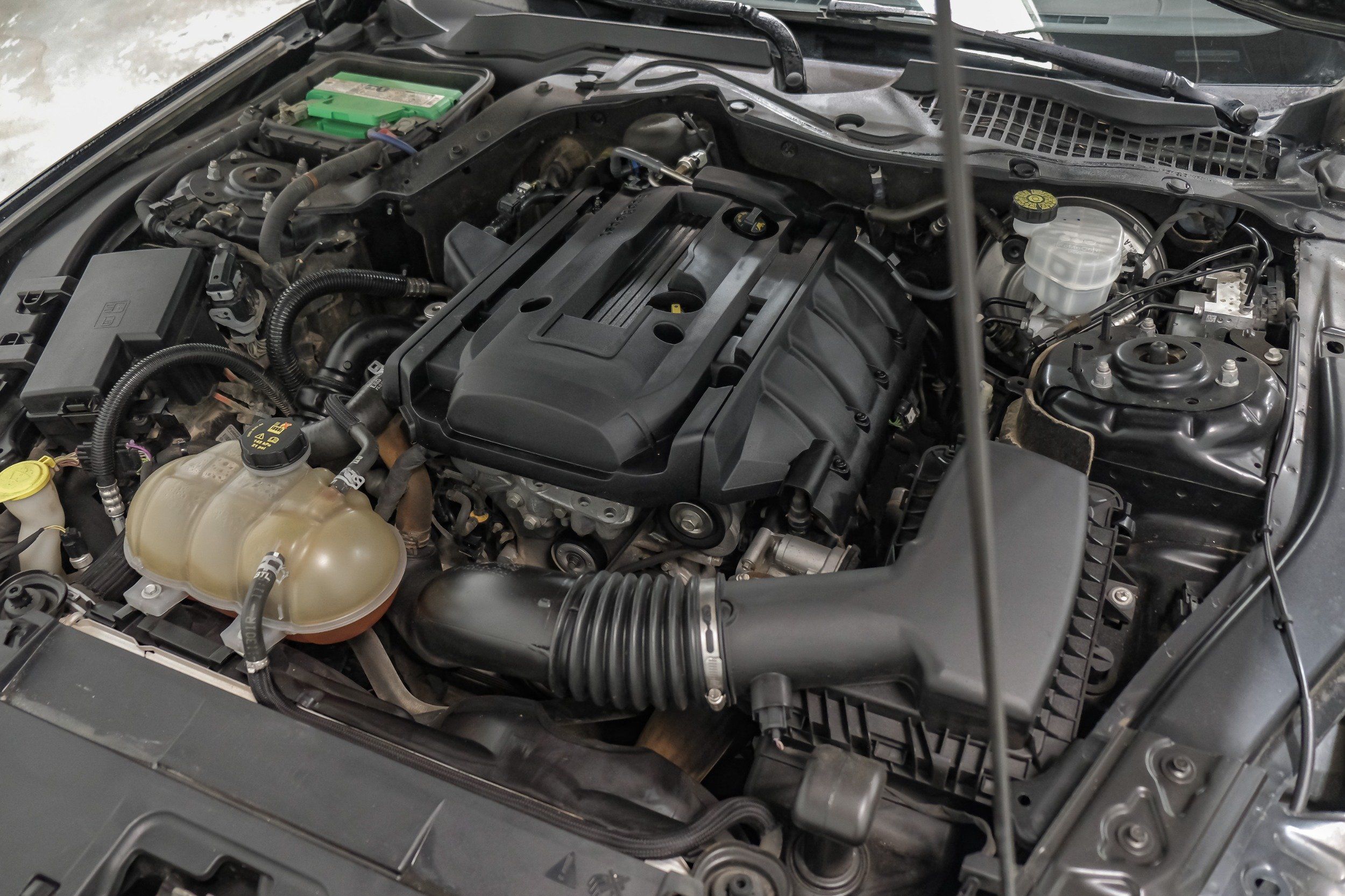 Photo 46 of 2019 Ford Mustang I4 for sale in Katy, TX