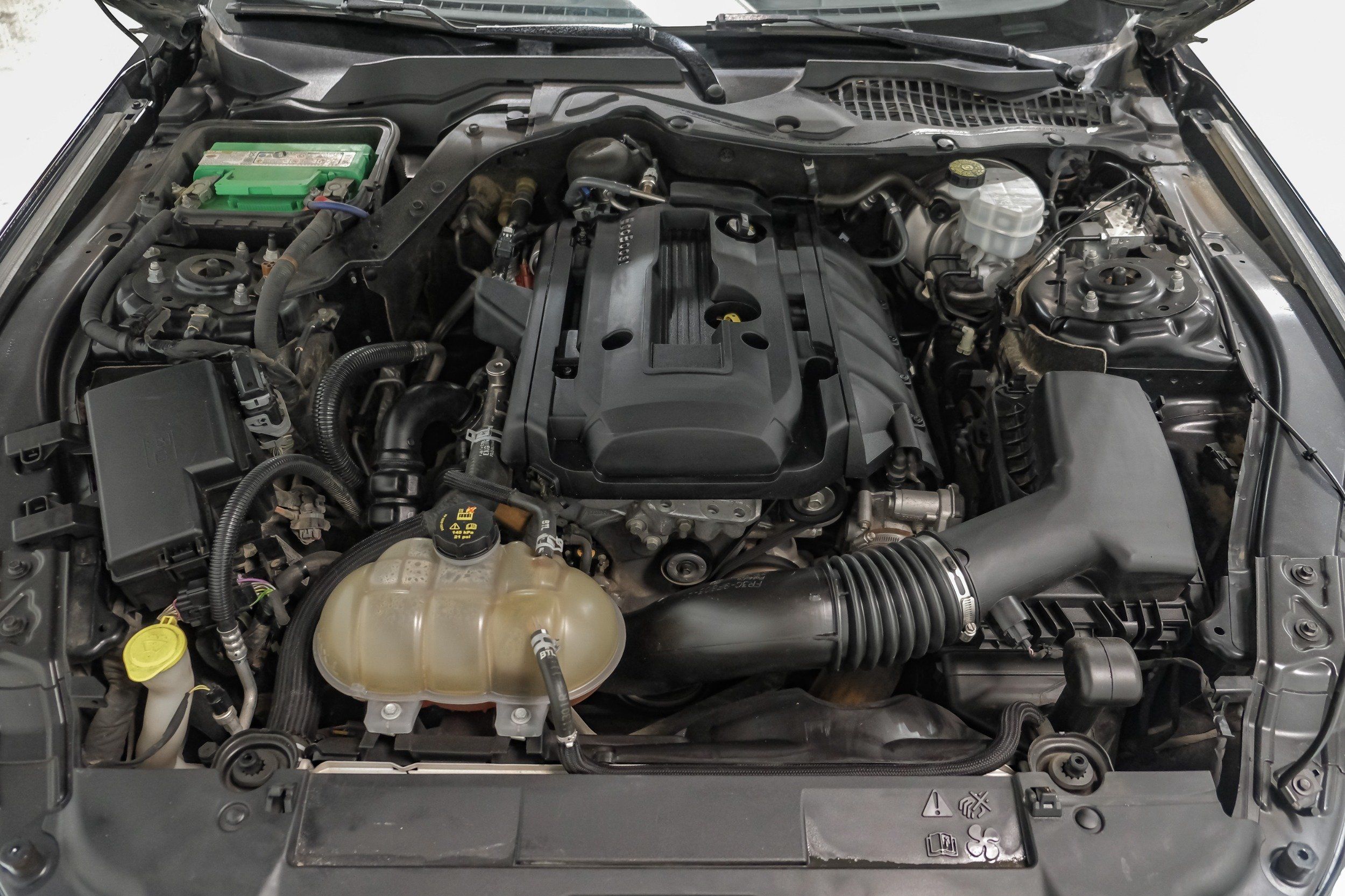 Photo 47 of 2019 Ford Mustang I4 for sale in Katy, TX
