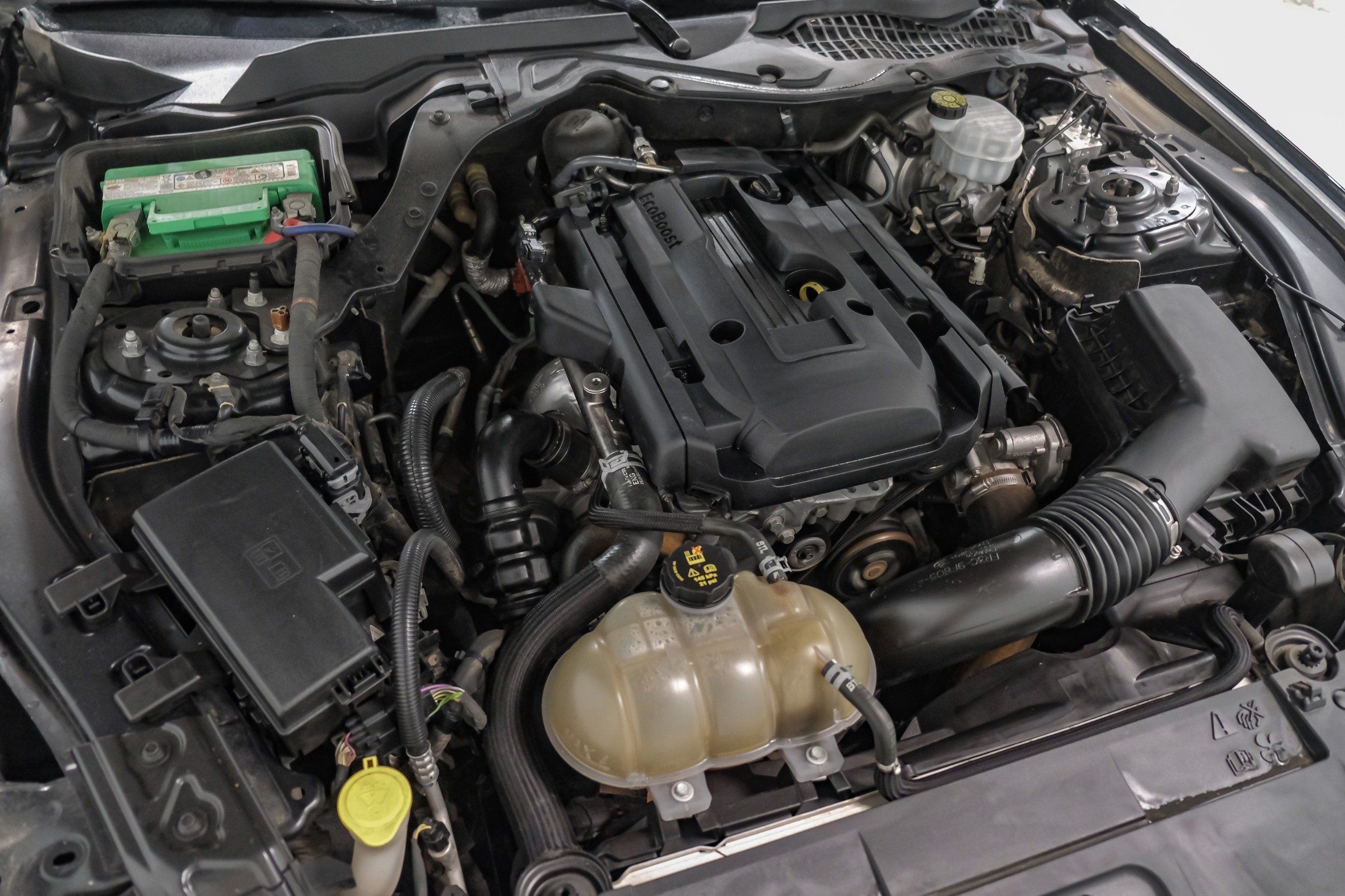 Photo 48 of 2019 Ford Mustang I4 for sale in Katy, TX