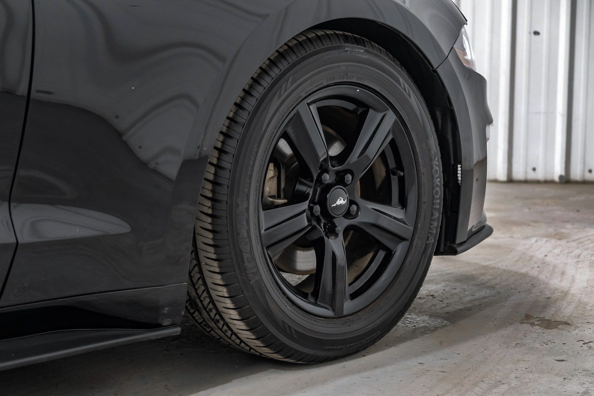 Photo 54 of 2019 Ford Mustang I4 for sale in Katy, TX