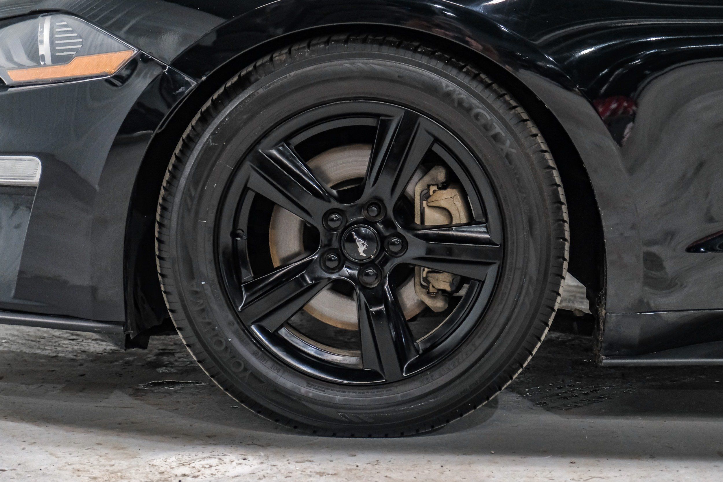 Photo 55 of 2019 Ford Mustang I4 for sale in Katy, TX
