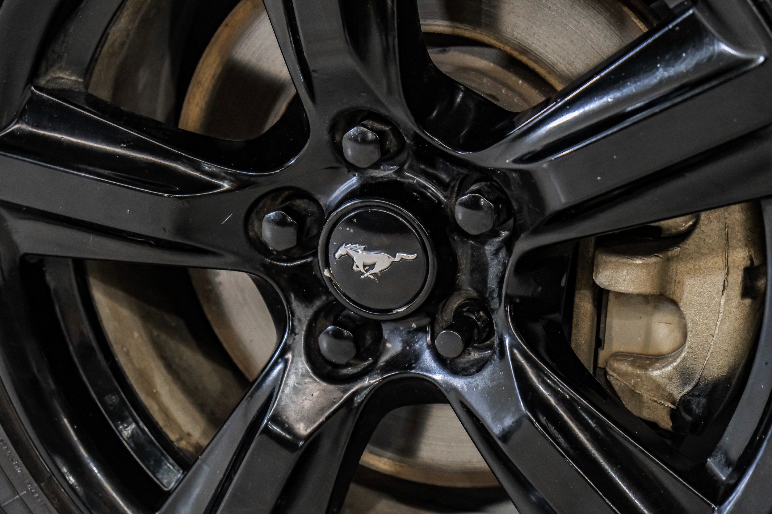 Photo 57 of 2019 Ford Mustang I4 for sale in Katy, TX