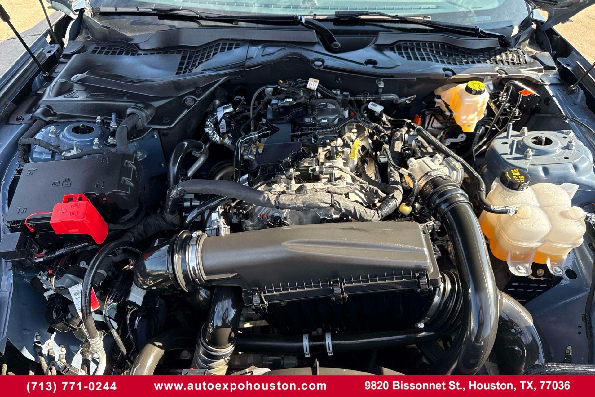 Photo 31 of 2025 Ford Mustang I4 for sale in Houston, TX