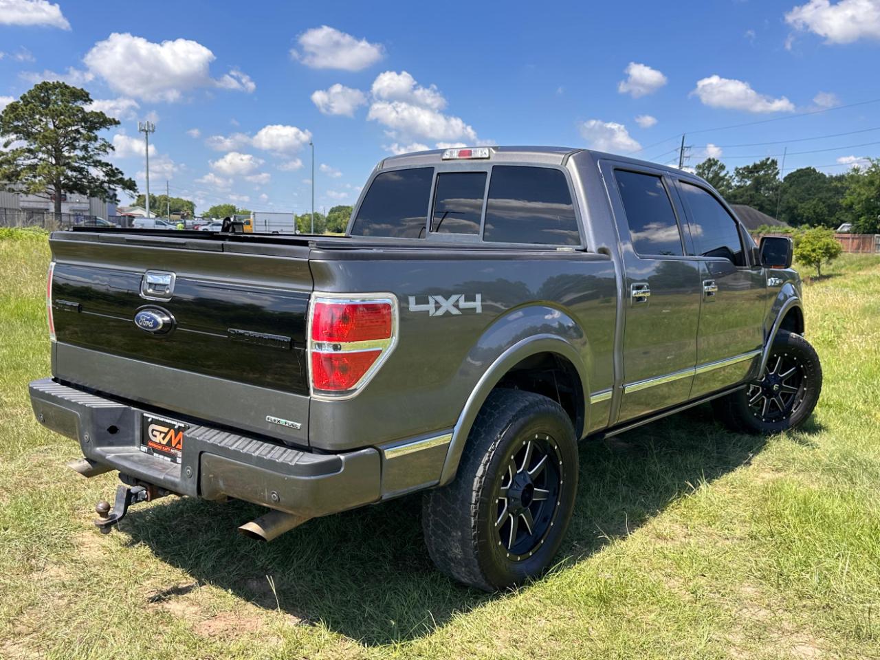Photo 9 of 2013 Ford F-150 Platinum 4WD for sale in Katy, TX